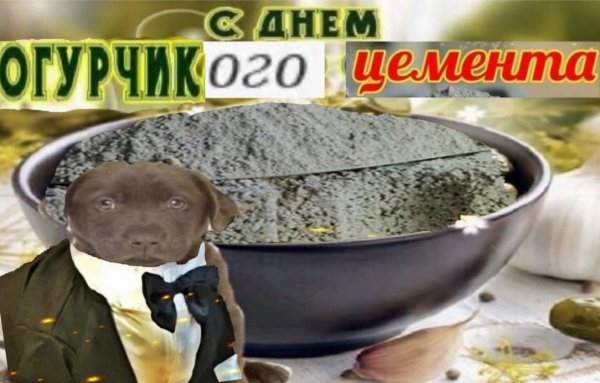 С днем соленого огурчика с собакой