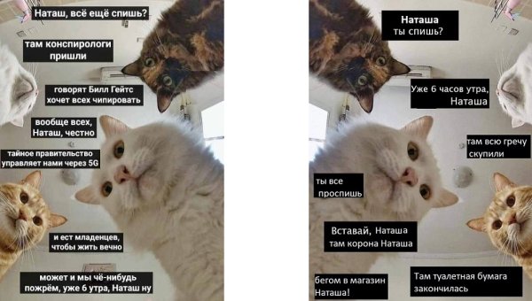 Мем Наташа и коты