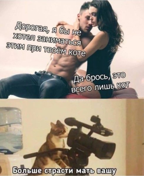Мем больше страсти мать Вашу