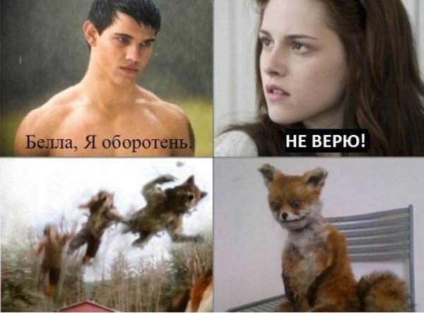 Мемы про оборотней