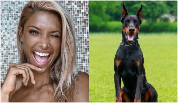 Доберман и той Мем