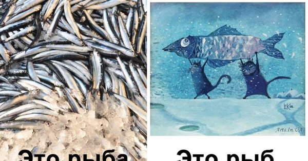 Мем про Рыбов
