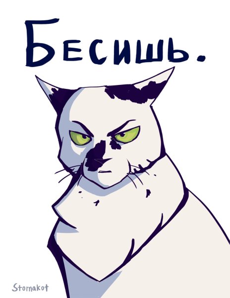 Кот Мем