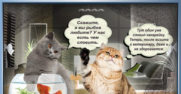 Красивое кот и рыба