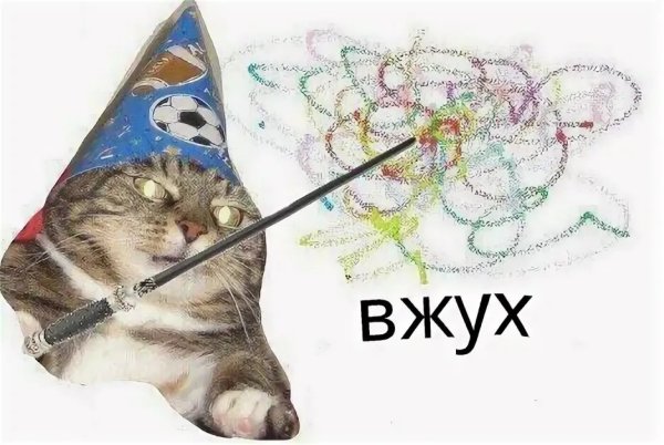 Мемы вжух с котом