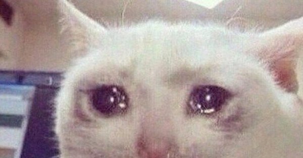 Плачущий кот