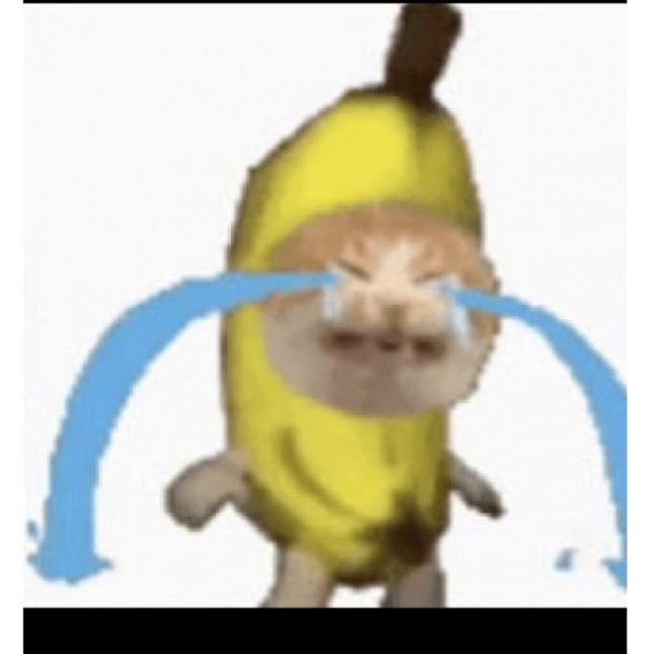 Плалучший кот банан