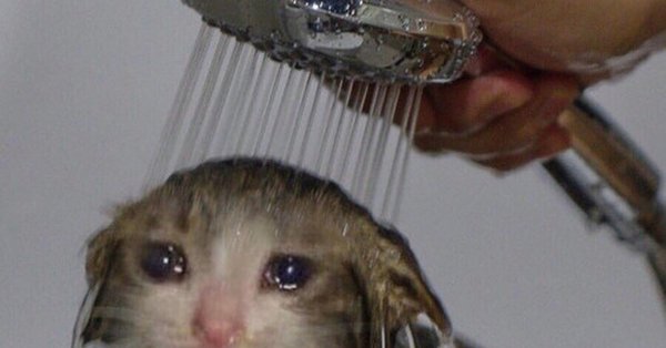 Плачущиё кот