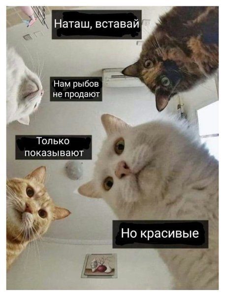 Наташа вставай