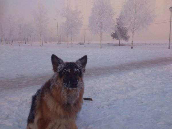 Макс я замерз