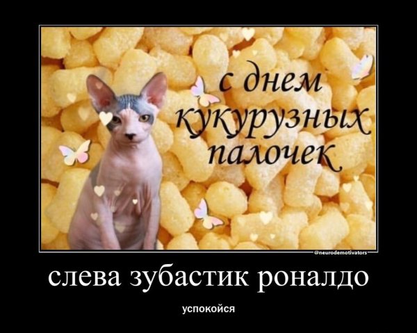 Мем с днём кукурузных палочек