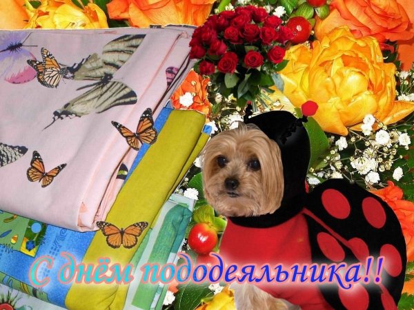 Открытки с днём пододеяльник