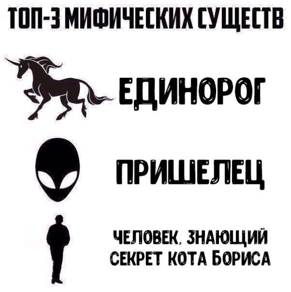 В чём секрет кота Бориса