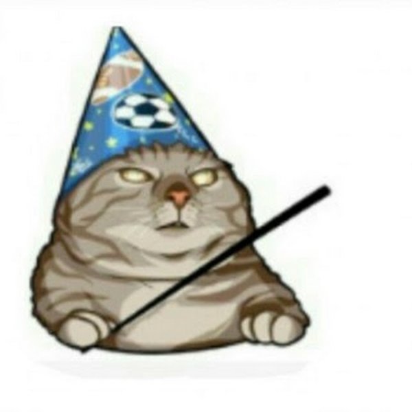 Мемы вжух с котом