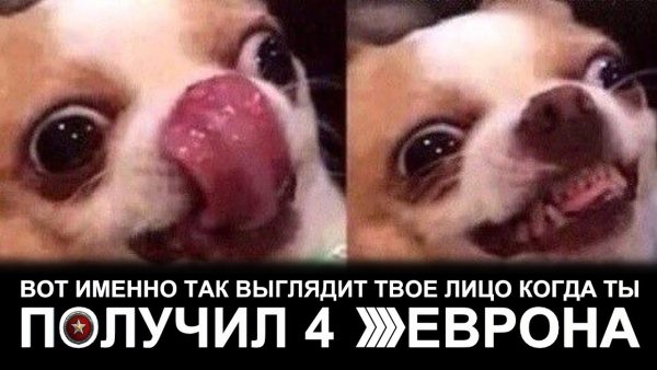 Собачка с языком