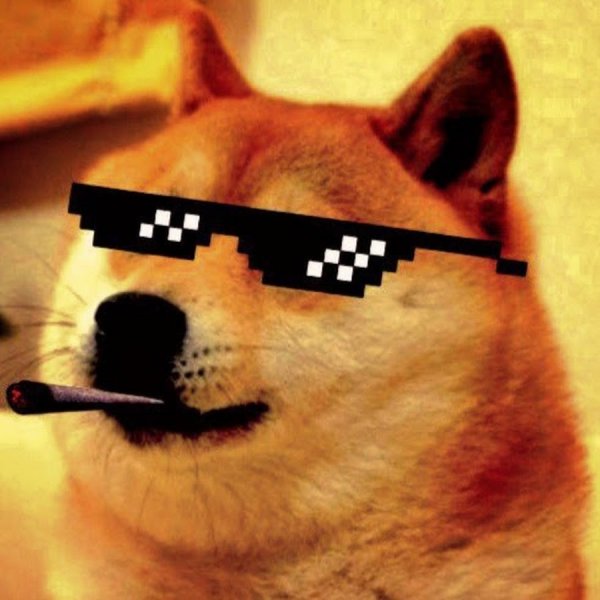 Пёс в пиксельных очках