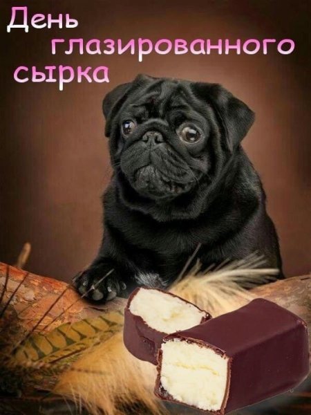 С днем нлазированного Свока