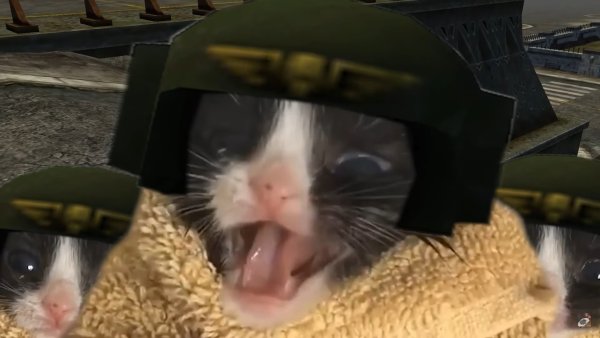 Вперёд собаки к победе Warhammer