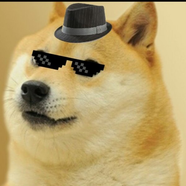 Собака шпион