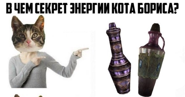 Скума морровинд