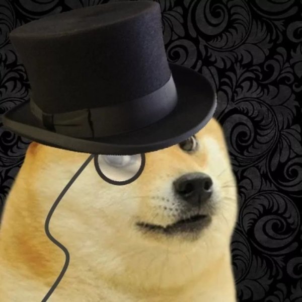 Дог в шляпе