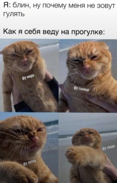 Фу море фу люди