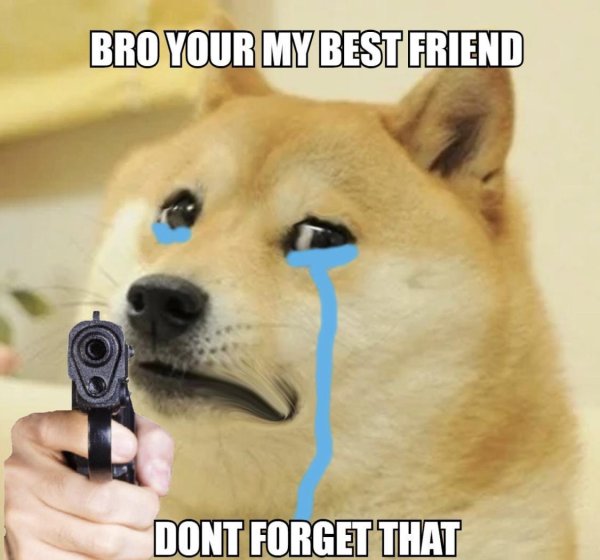 Мем с собойкой