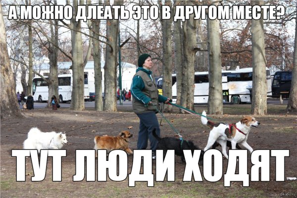 Прогулка с собакой юмор