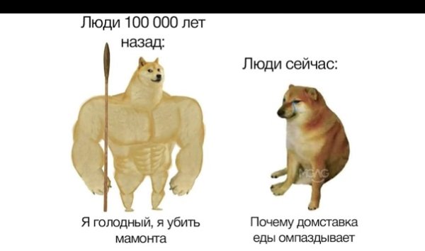 Мем про Догги и Чимса