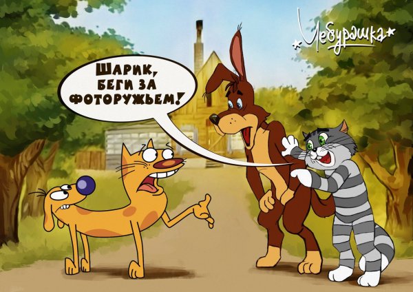 Котопес арты