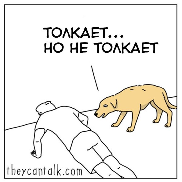 Логика собак