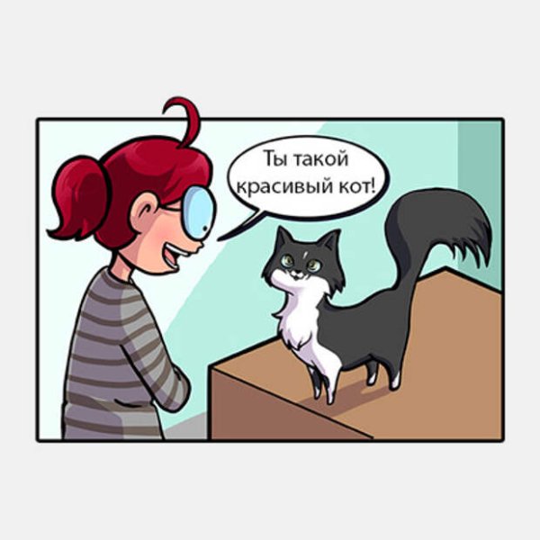 Мем больше страсти мать Вашу с котом