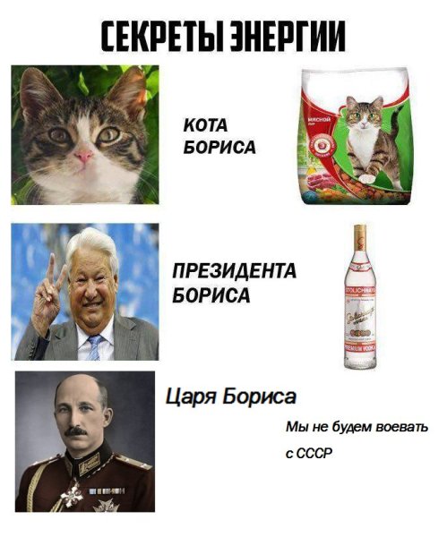 Секрет энергии кота Бориса