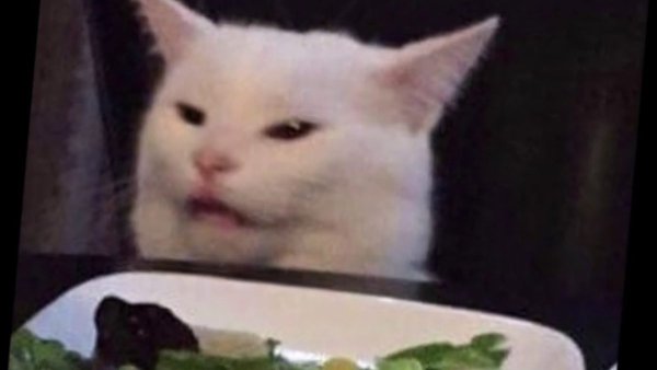 Пашлятена кот