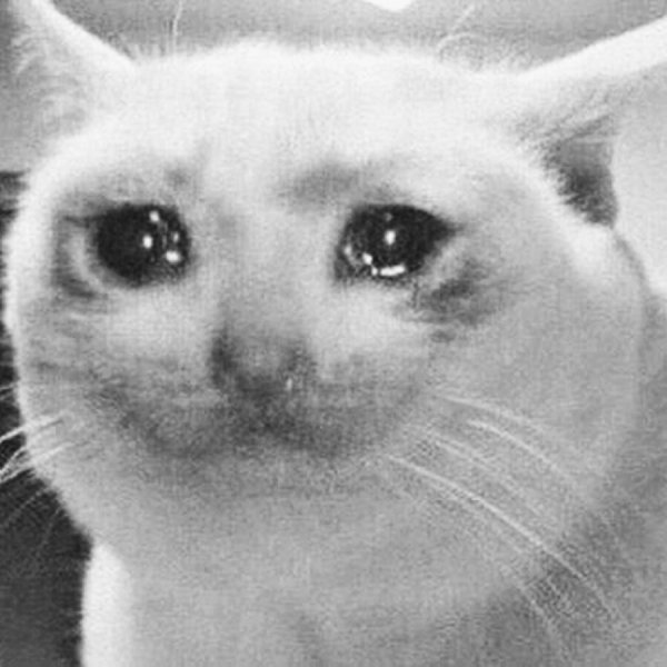 С грустным котом