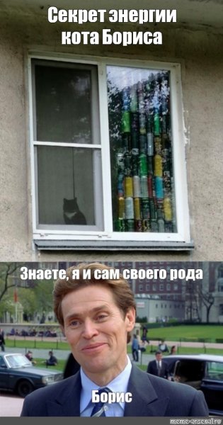 Энергия кота Бориса