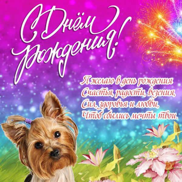 С днем рождения