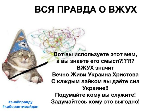 Мемы вжух с котом