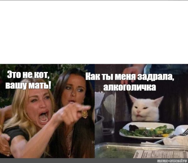 Больше страсти кот с камерой Мем