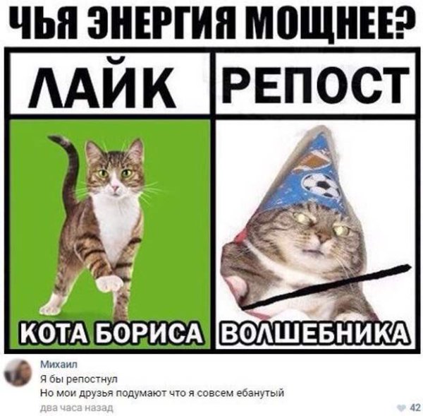 Энергия кота Бориса