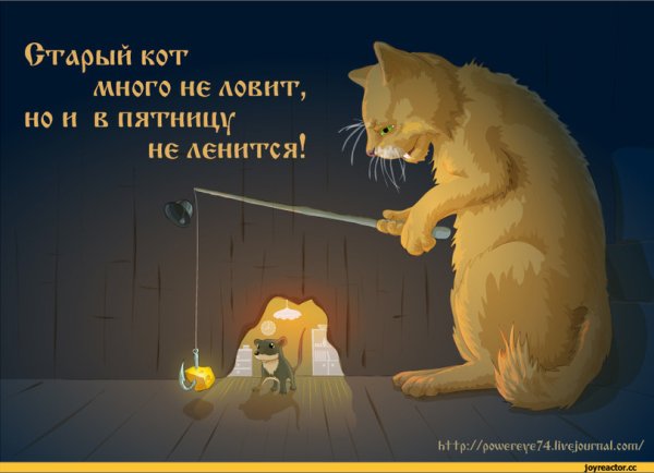 Больше страсти мать Вашу кот