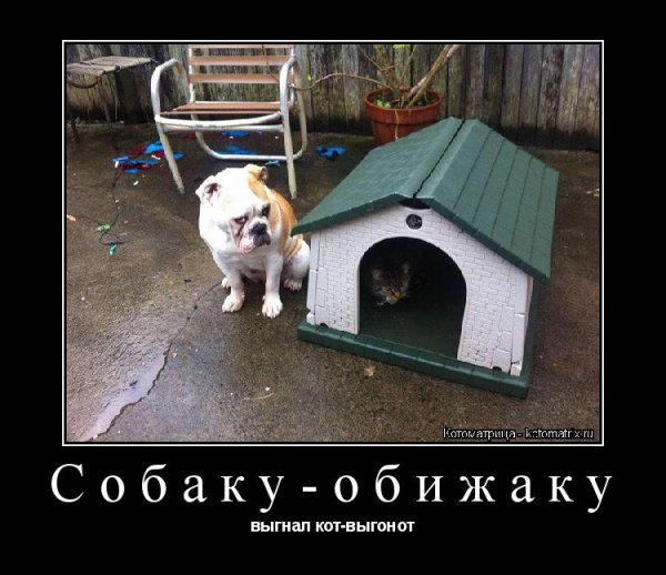 Обижака Мем