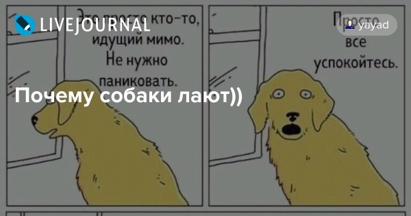 Почему собаки гавкают