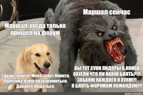 Мемы про оборотней