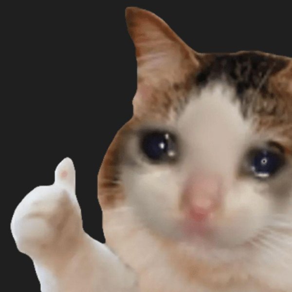 Плачущий кот