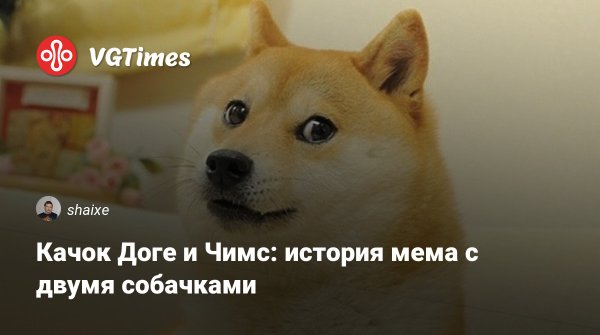 Качок доге и Чимс
