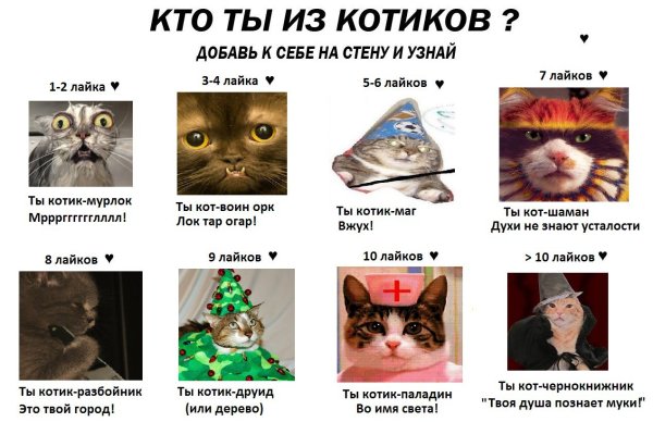 Коты знаки зодиака