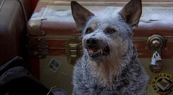 Стив Мартин самолетом поездом машиной