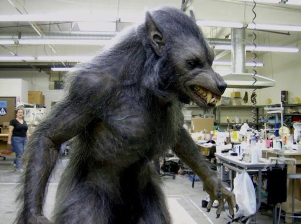 Мемы про оборотней