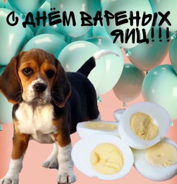 Тупые открытки с днем